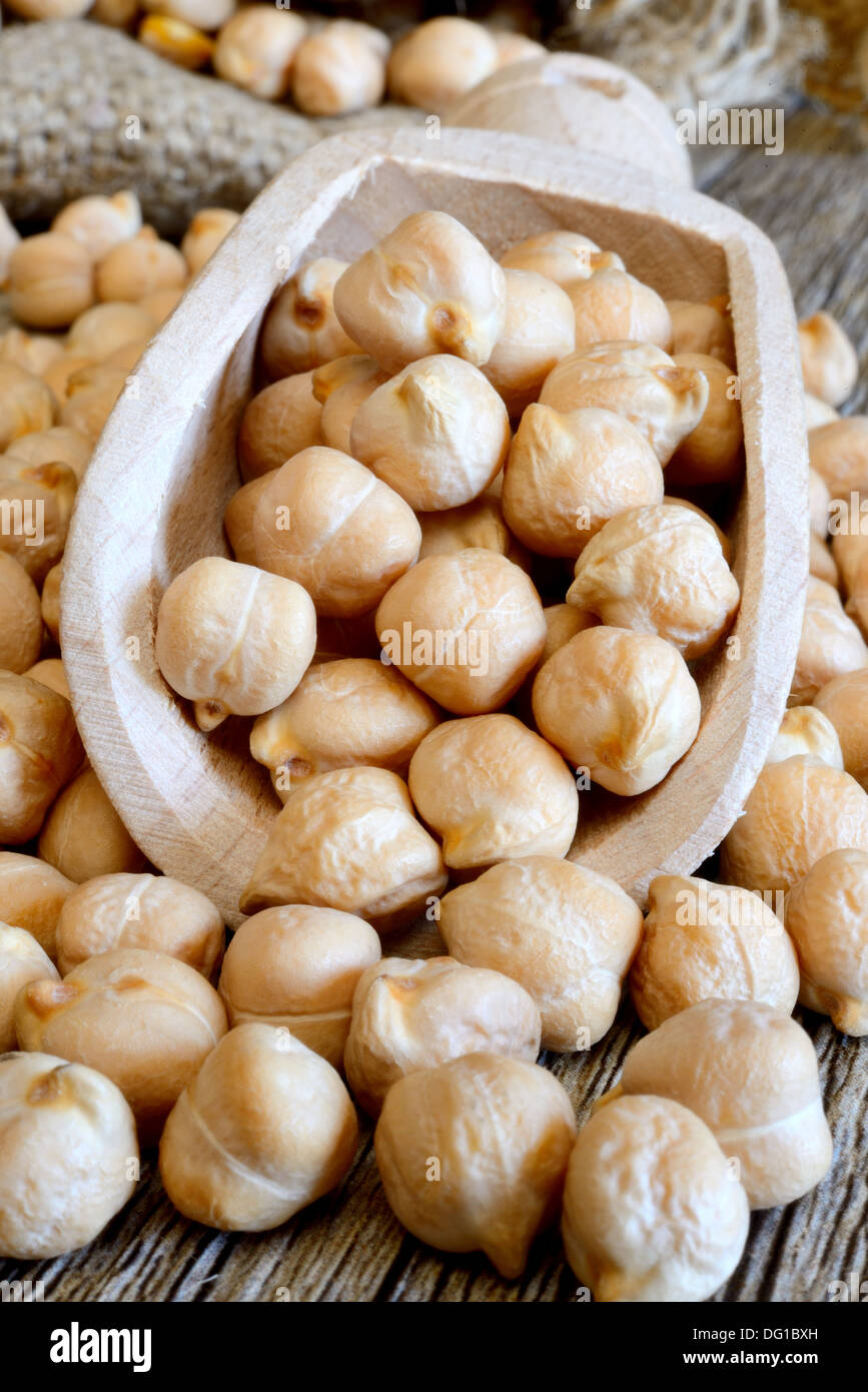 dried white chickpeas ceci on sack close up Stock Photo