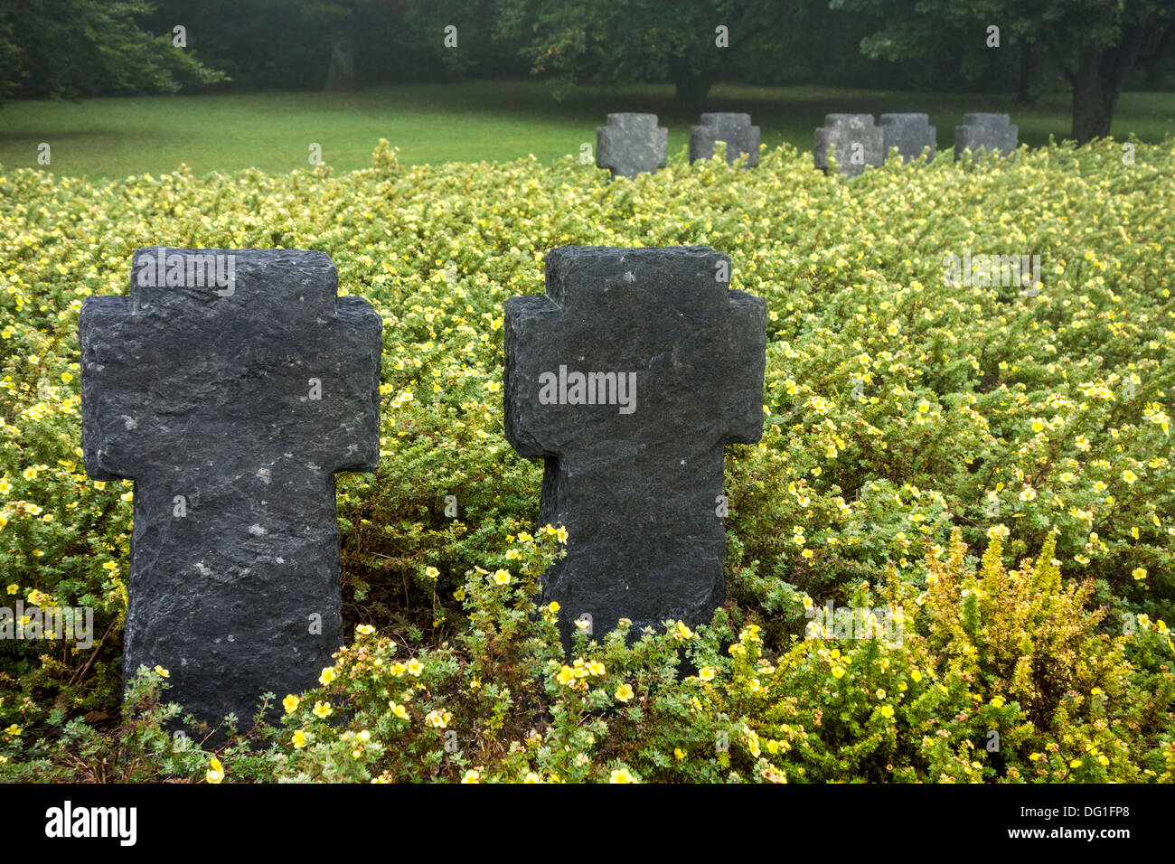 WWI graves of German soldiers at the First World War One Deutscher Soldatenfriedhof Consenvoye, Battle of Verdun, France Stock Photo