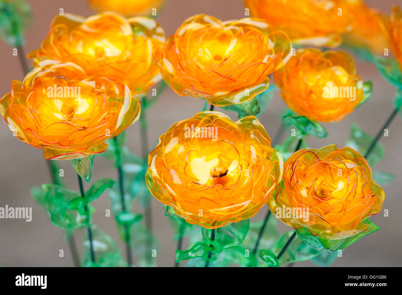 Flowers from 2024 plastic bottles
