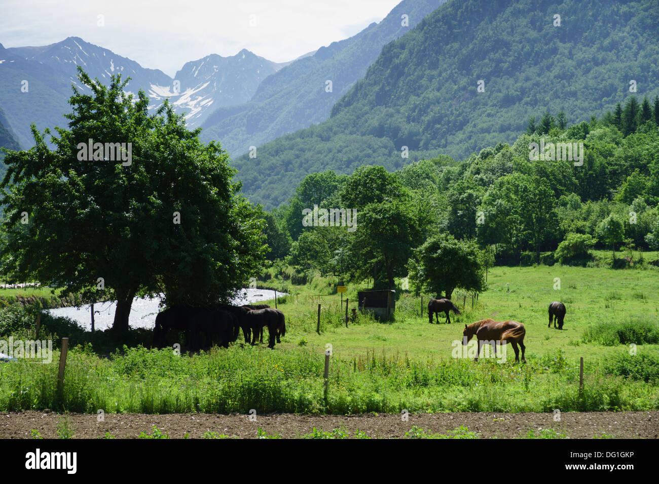France, Ariège, Pyrenees - at Orgeix, village on L'Oriège river, valley ...