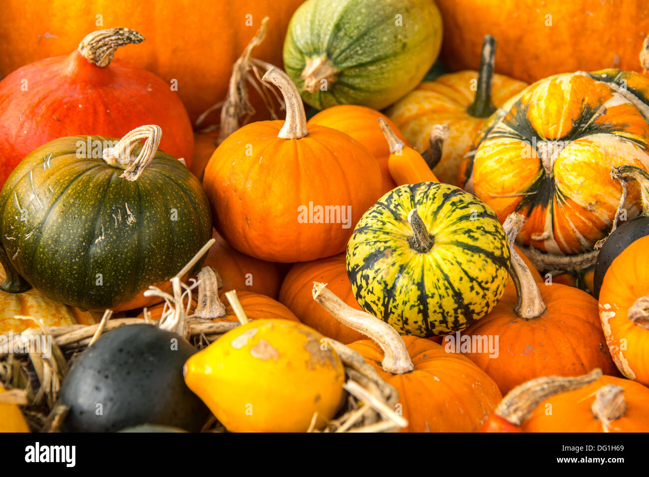 Various fruits displayed hi-res stock photography and images - Alamy