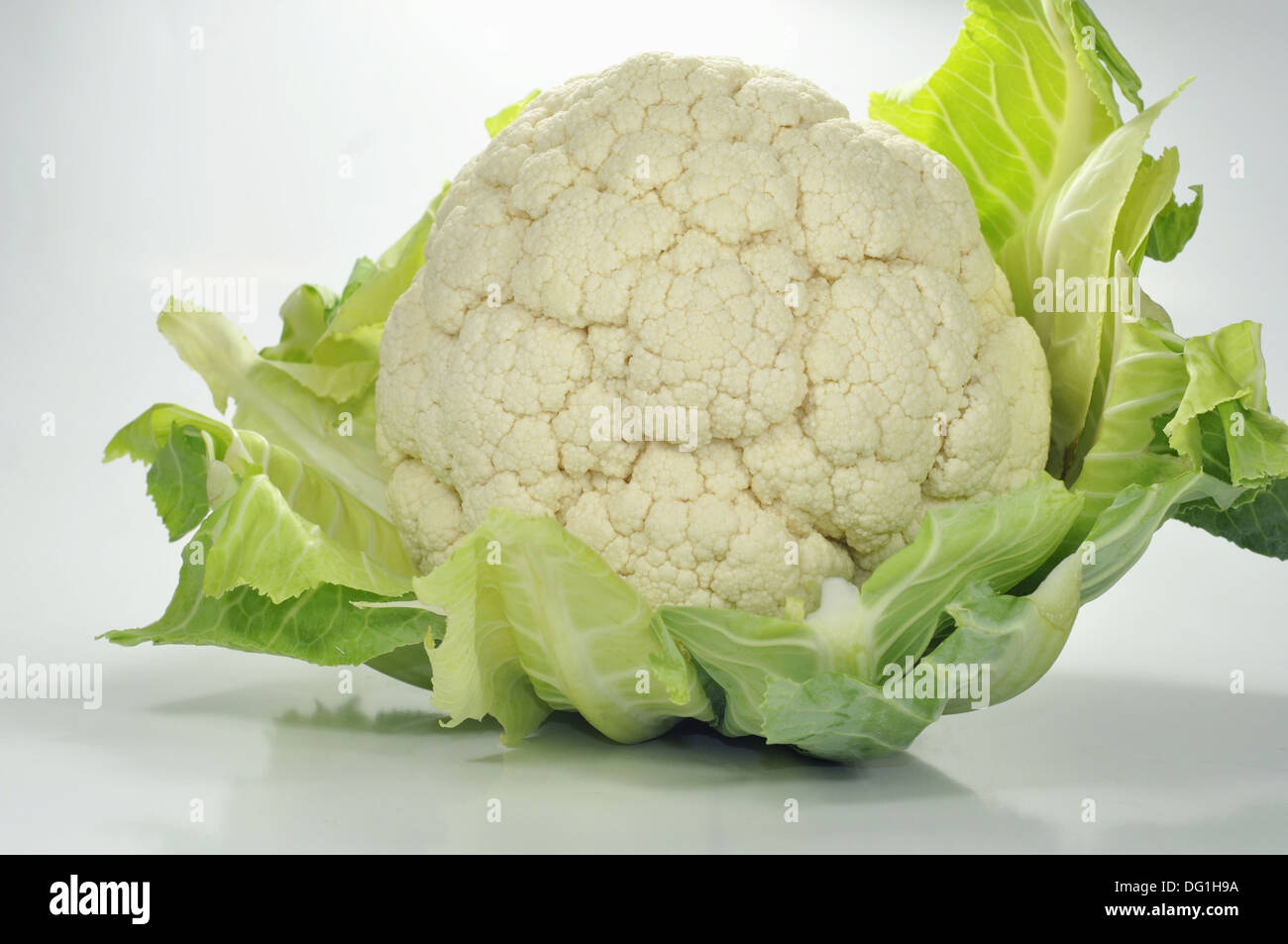 A Head of Cauliflower Stock Photo Alamy