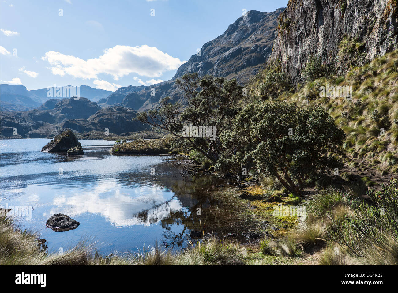 Cajas National Park, Andean Highlands, Ecuador Stock Photo