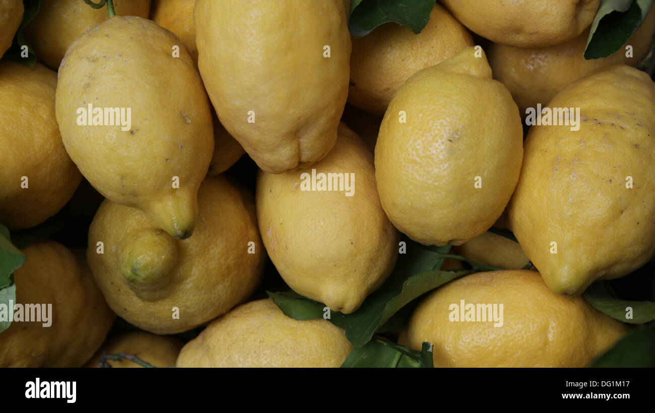 detail of Lemons, Italy Stock Photo
