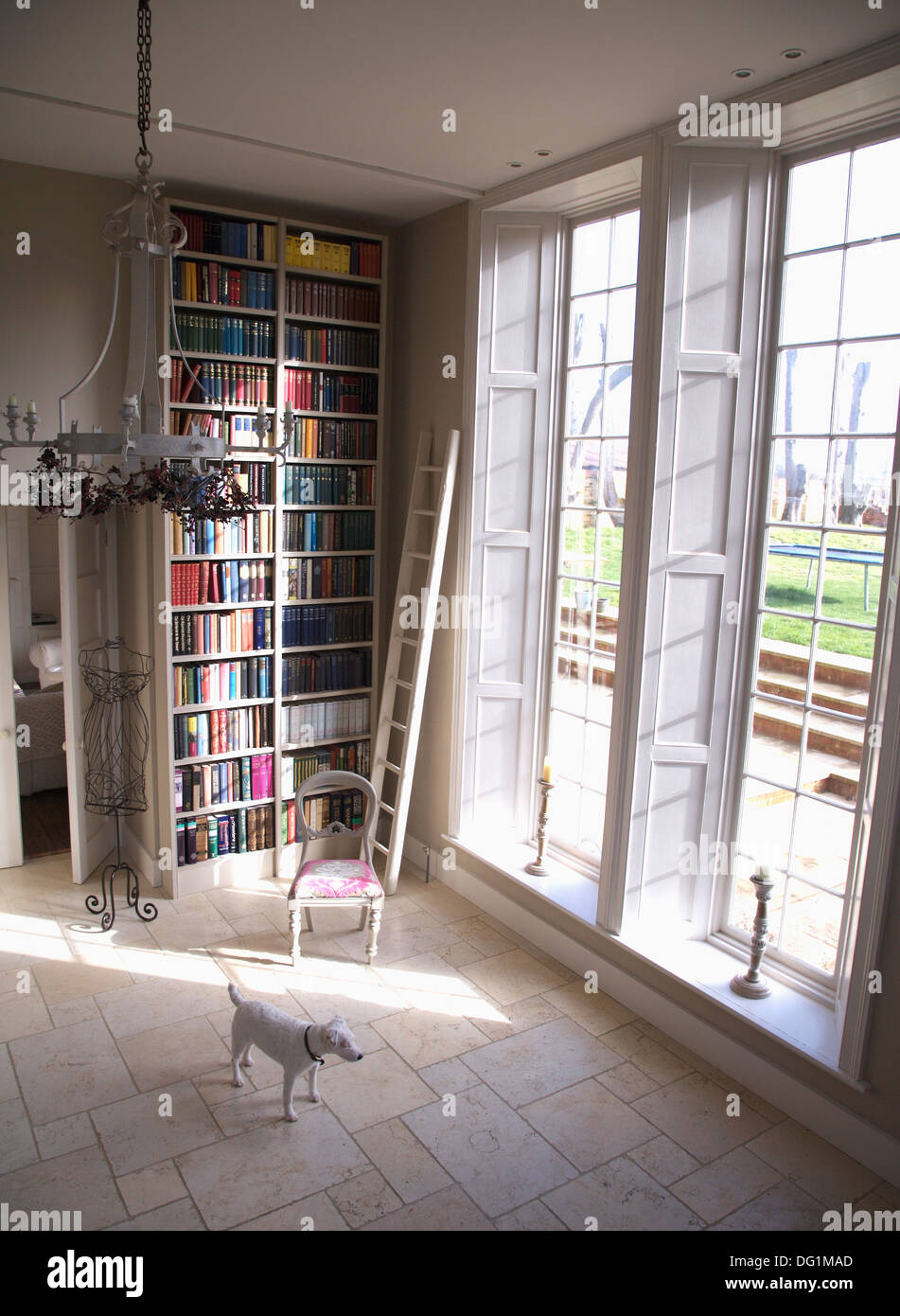 White Jack Russell Terrier Dog Standing In Library Hall With Floor
