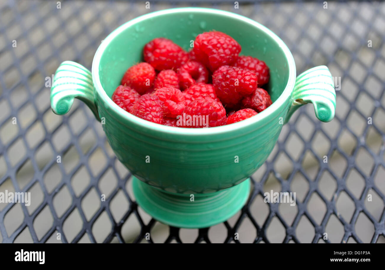 Just picked berries of raspberry in ancient cup lost in garden in the ...