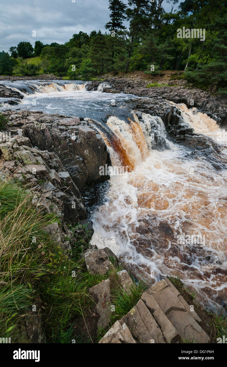 Low Force waterfall on the River Tees, Co Durham, England. Stock Photo