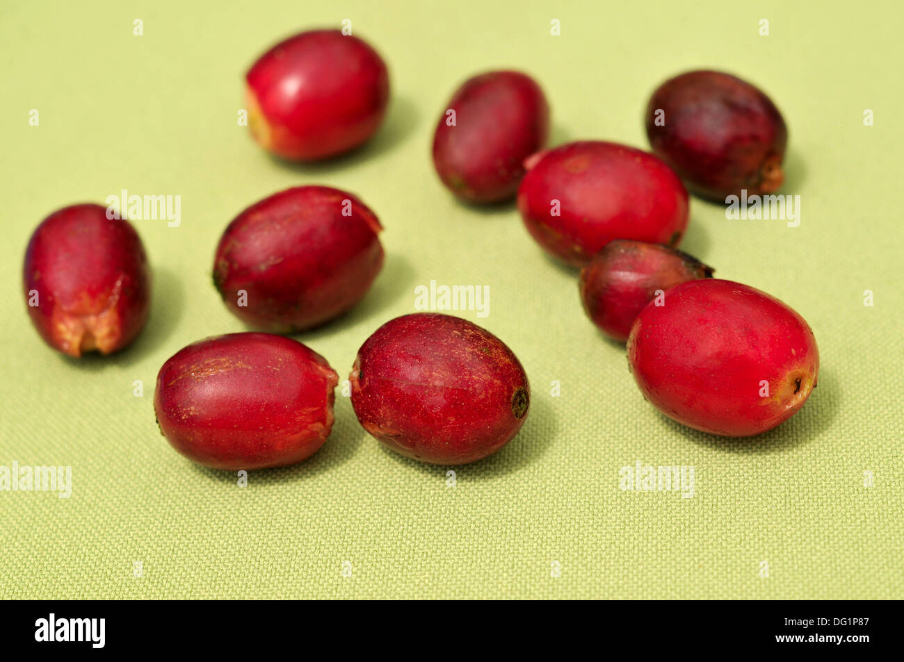 Raw coffee beans Stock Photo Alamy