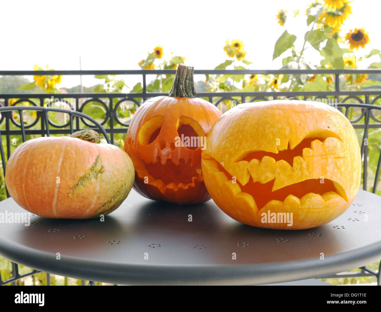 Jack O Lantern Pumpkins On Metal Garden Table Stock Photo Alamy