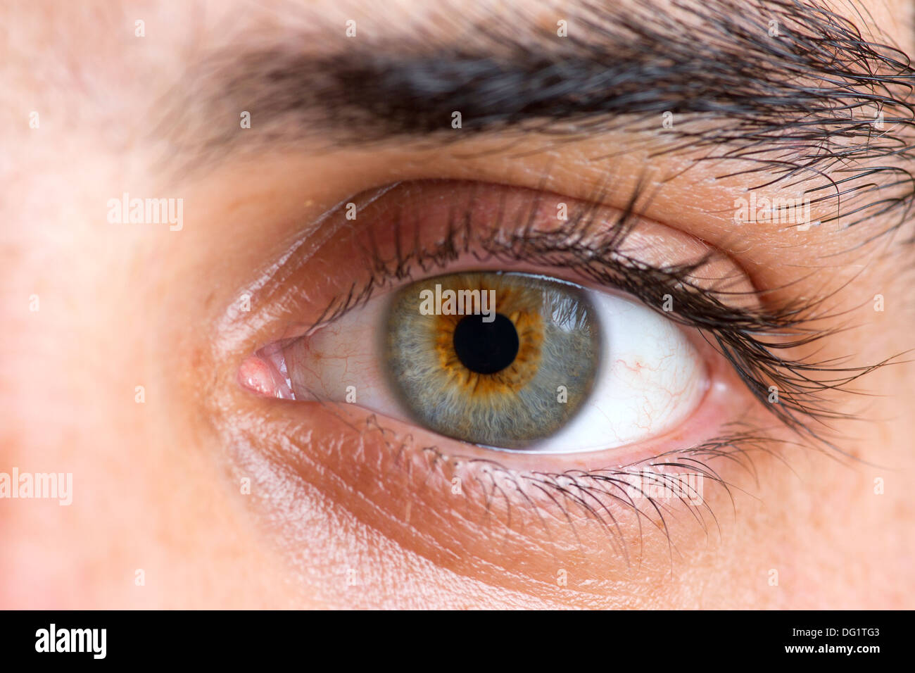 Iris eye hi-res stock photography and images - Alamy