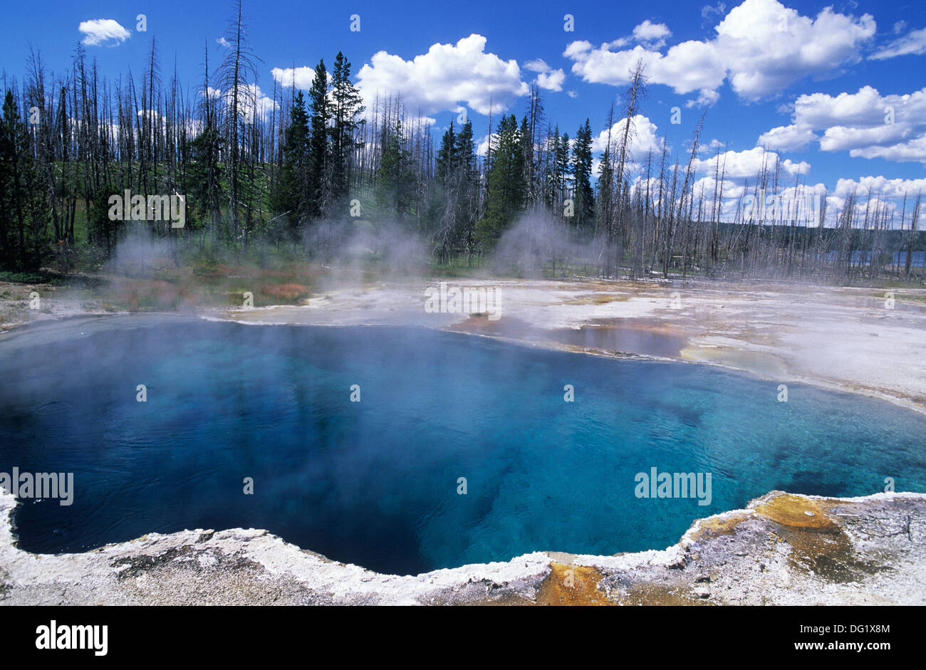 Elk265-2533 Wyoming, Yellowstone National Park, West Thumb Geyser Basin, Abyss Pool Stock Photo