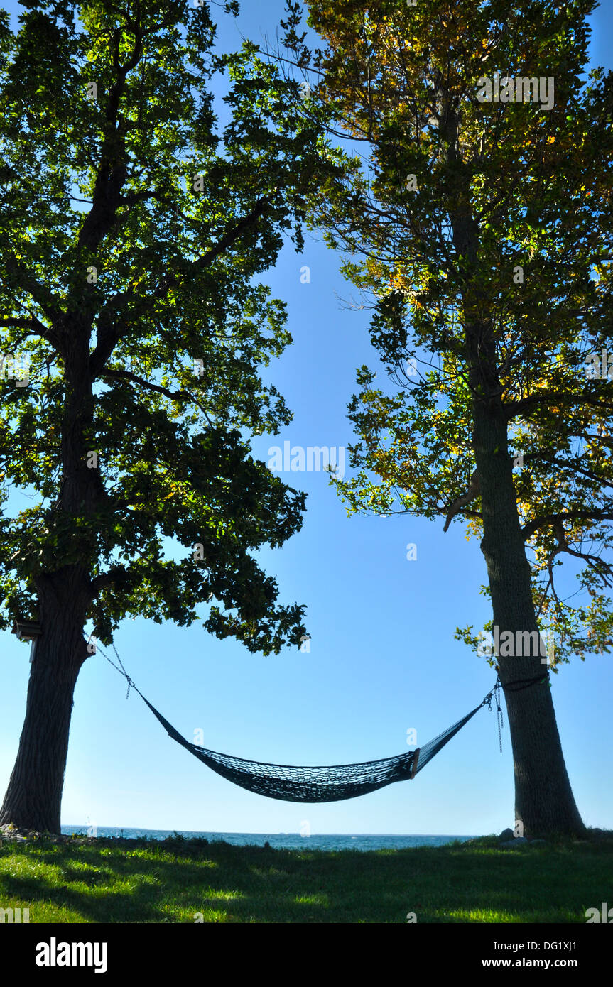 hammock between two trees on shoreline of Lake Ontario New York Stock Photo Alamy