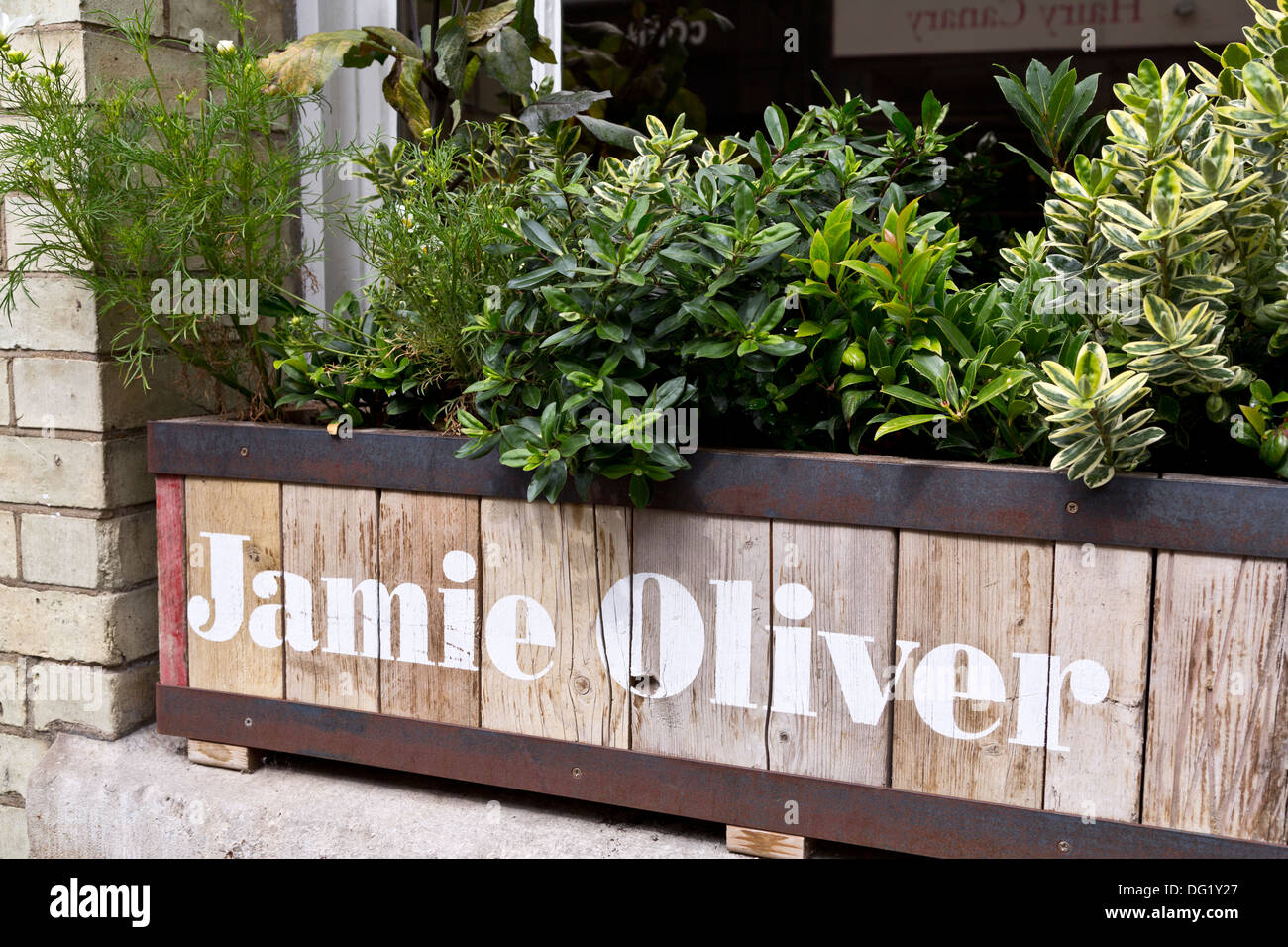Planter with Jamie Oliver name in front of Jamie's Italian restaurant, Cambridge, England Stock Photo