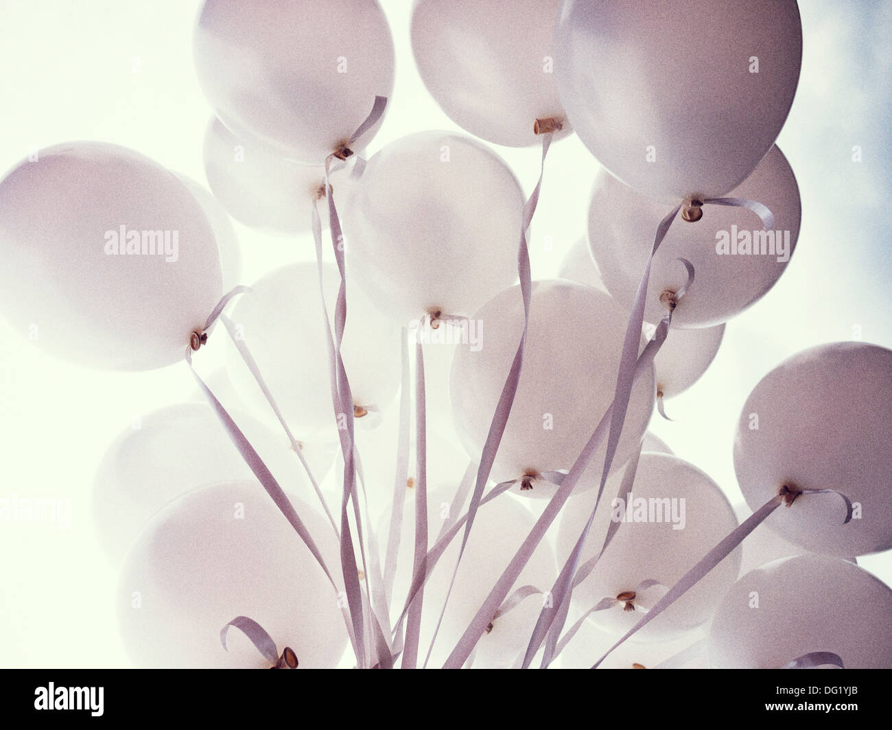 Bouquet of Pink Helium Balloons with Pink Ribbons, Low Angle View Stock Photo