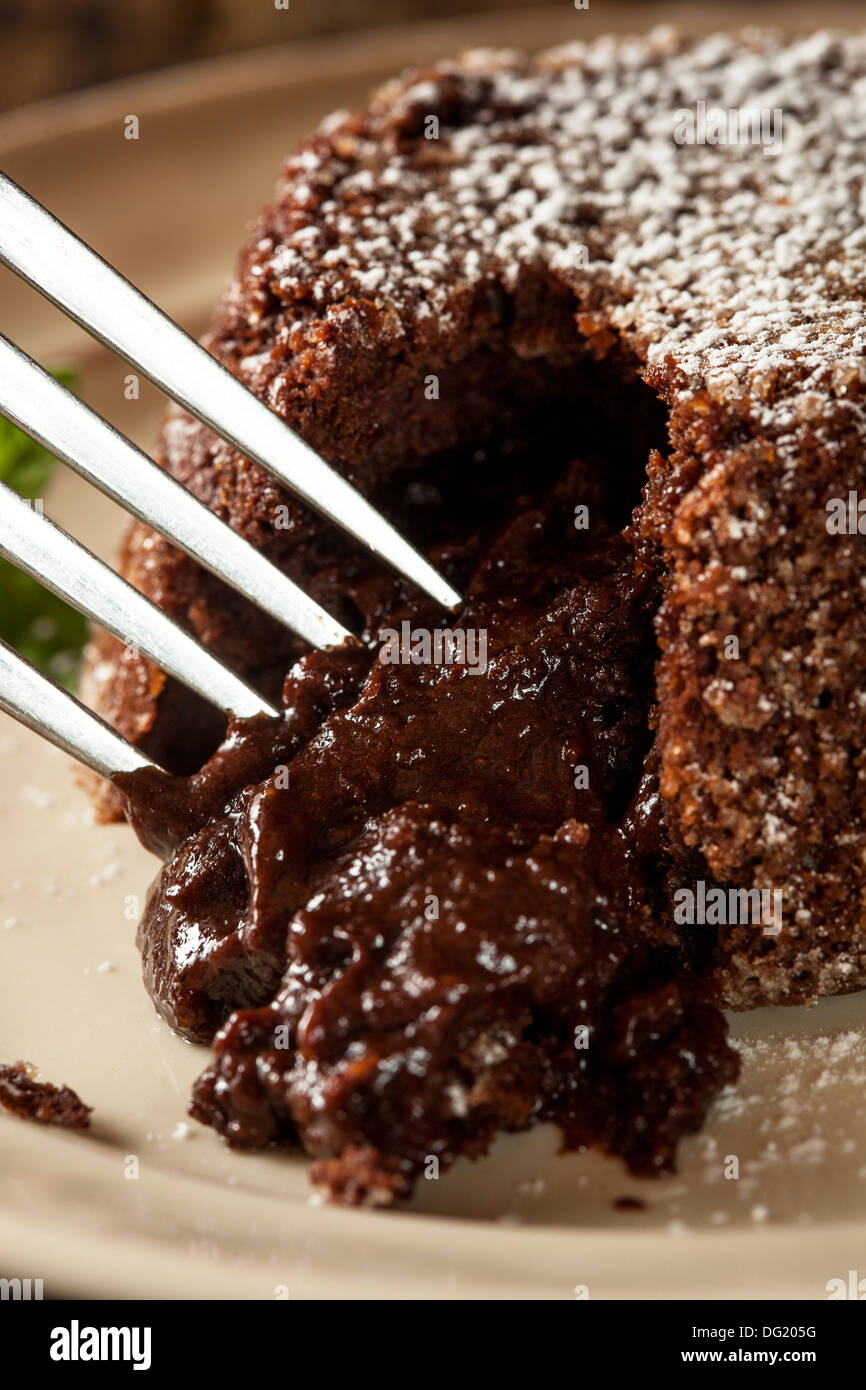 Homemade Chocolate Lava Cake Dessert with Mint Stock Photo Alamy