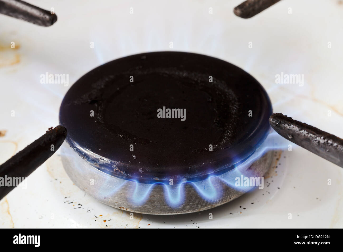 burning gas in burner ring of kitchen stove Stock Photo Alamy