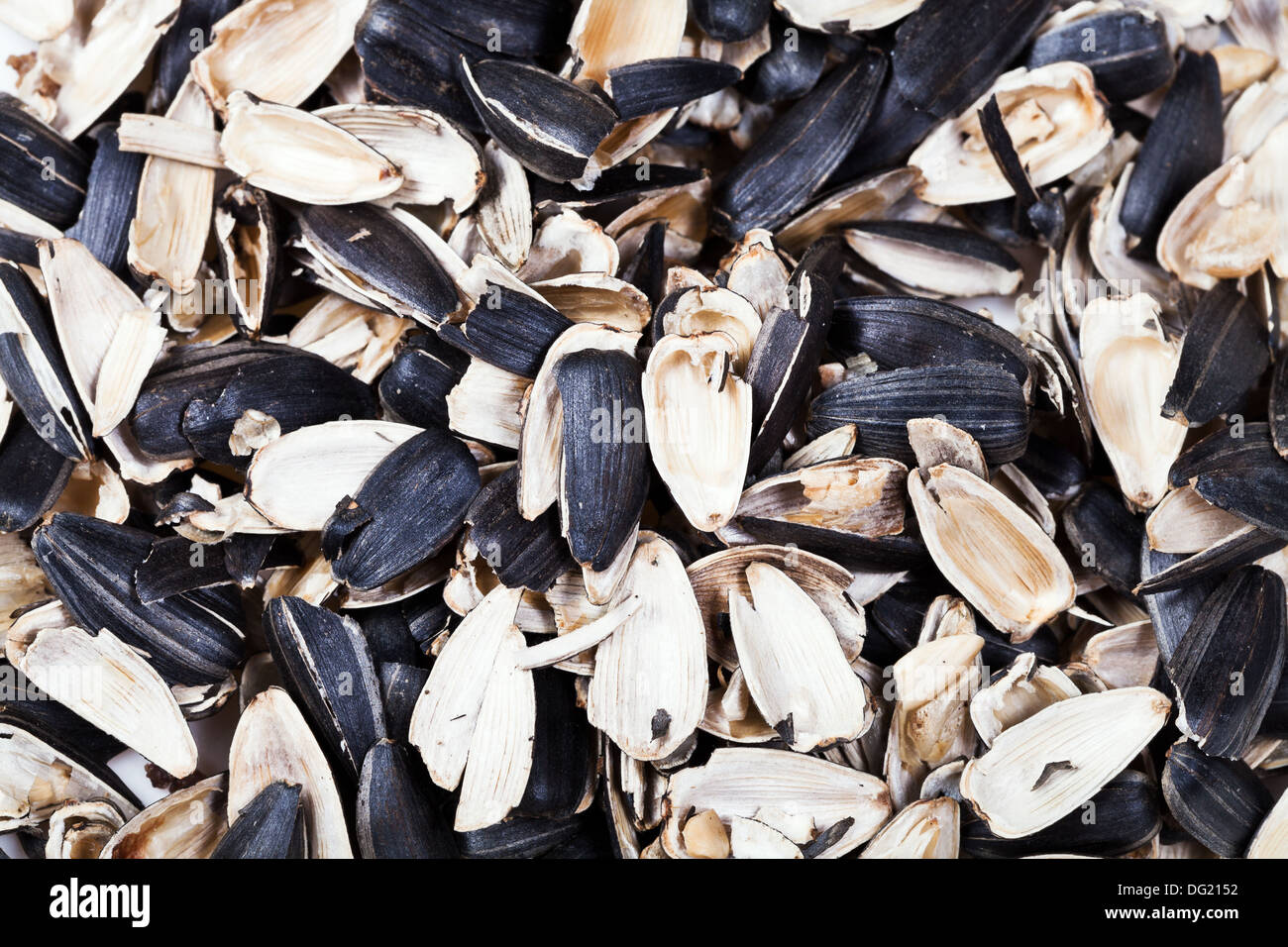 Лузга подсолнечника. Шелуха семян подсолнечника. Семена подсолнечника полосатые. Шелуха лузга подсолнечника. Ту 10.