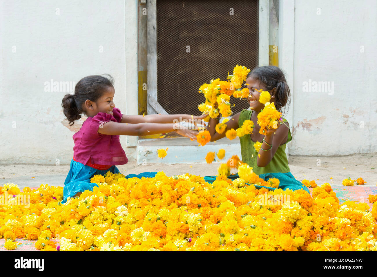 Rural indian village girls playing throwing marigold flowers at each other. Andhra Pradesh, India Stock Photo