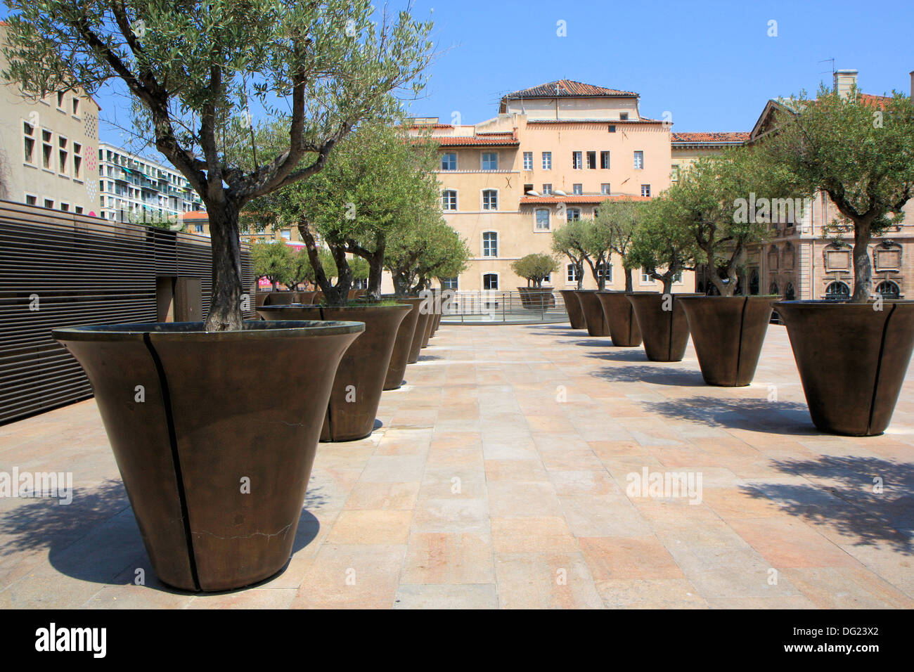 Olives trees in giant pots in Panier area, Marseille, Provence, France Stock Photo