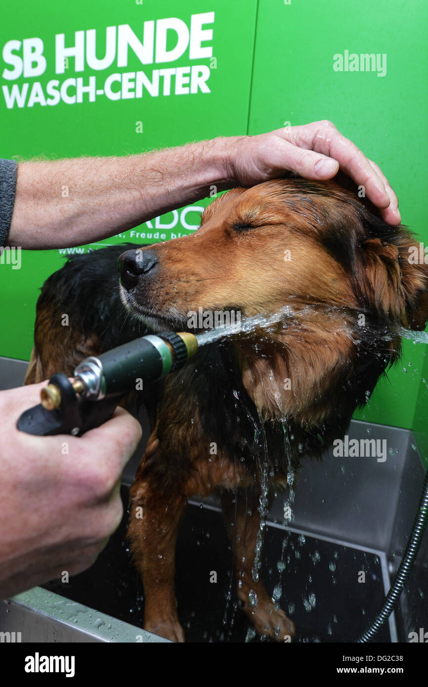 Self service dog wash hires stock photography and images Alamy