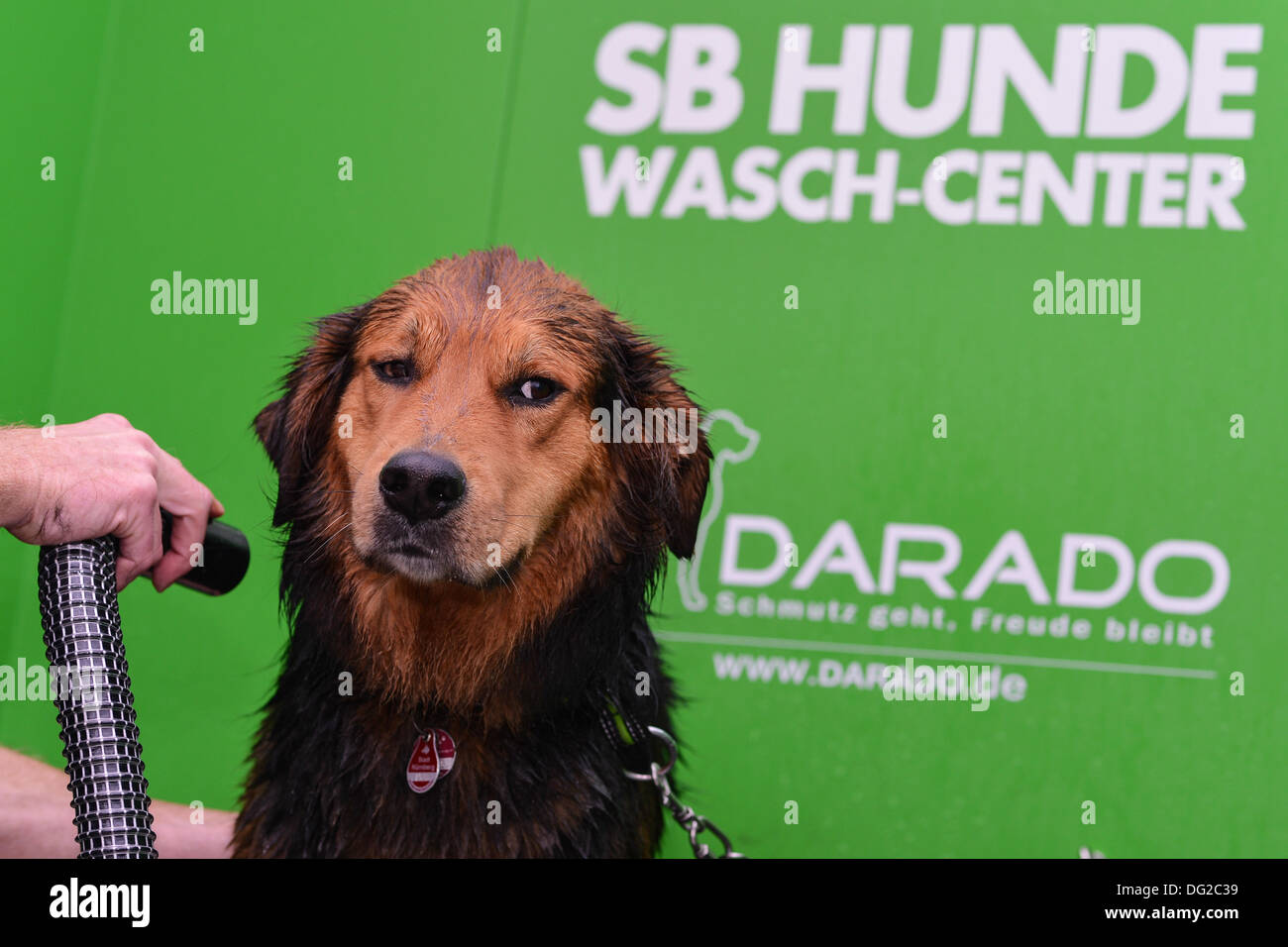 Self service dog wash hires stock photography and images Alamy