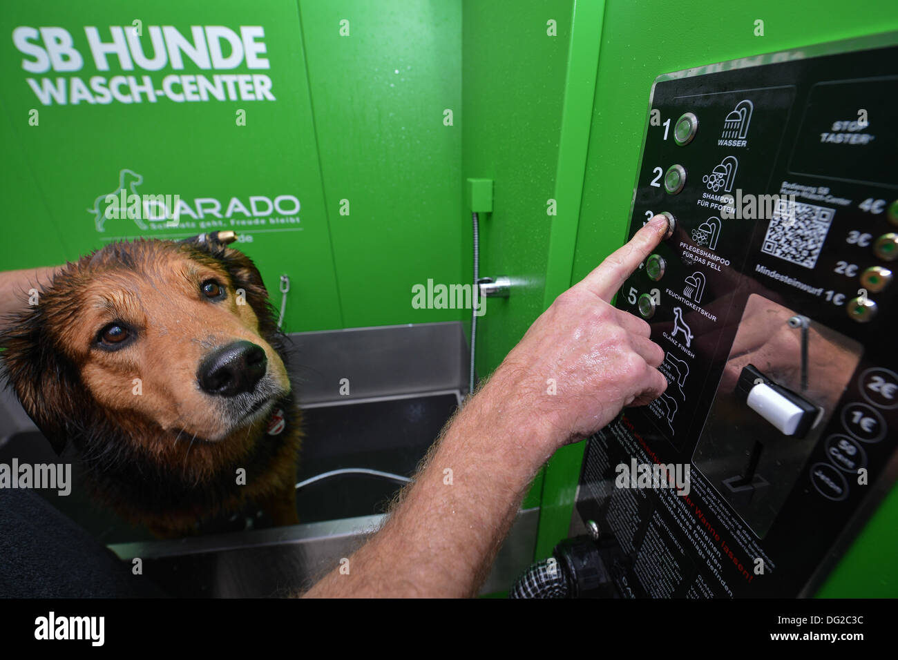 Self service dog wash hires stock photography and images Alamy