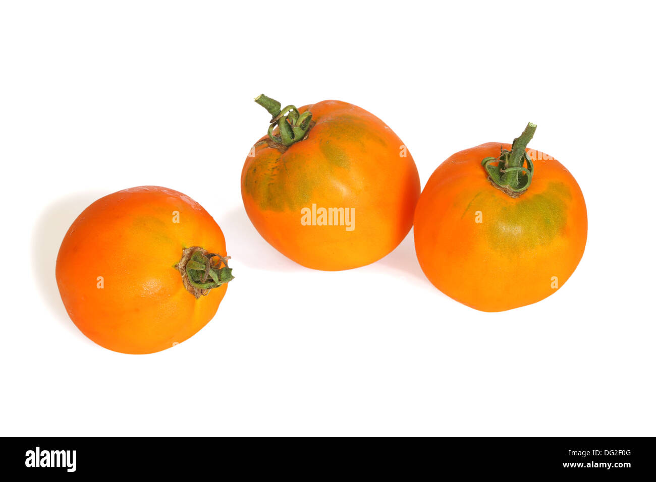 Yellow tomatoes isolated on white background Stock Photo - Alamy