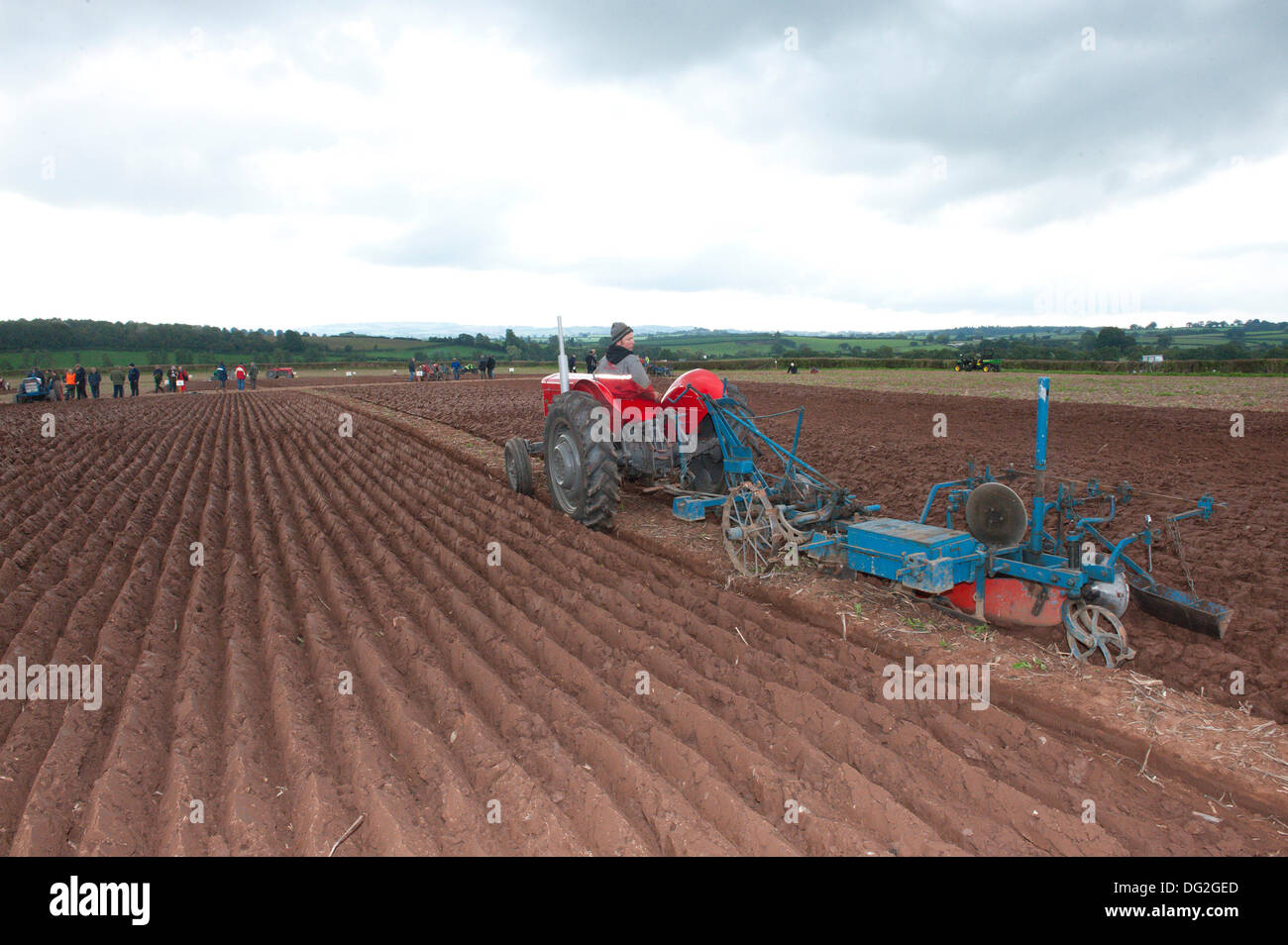 Llanwarne, Herefordshire, UK. 12th October 2013. Contestants take part in the Class 5 Oat Seed Furrow Ploughing event. More than 230 top British ploughmen compete in the 2013 British National Ploughing Championships which have returned to Herefordshire for the first time in 27 years. The top ploughmen of  each class (reversible and conventional) will represent Britain at the World Ploughing Championships to be held in France in 2014. Photo credit: Graham M. Lawrence/Alamy Live News. Stock Photo