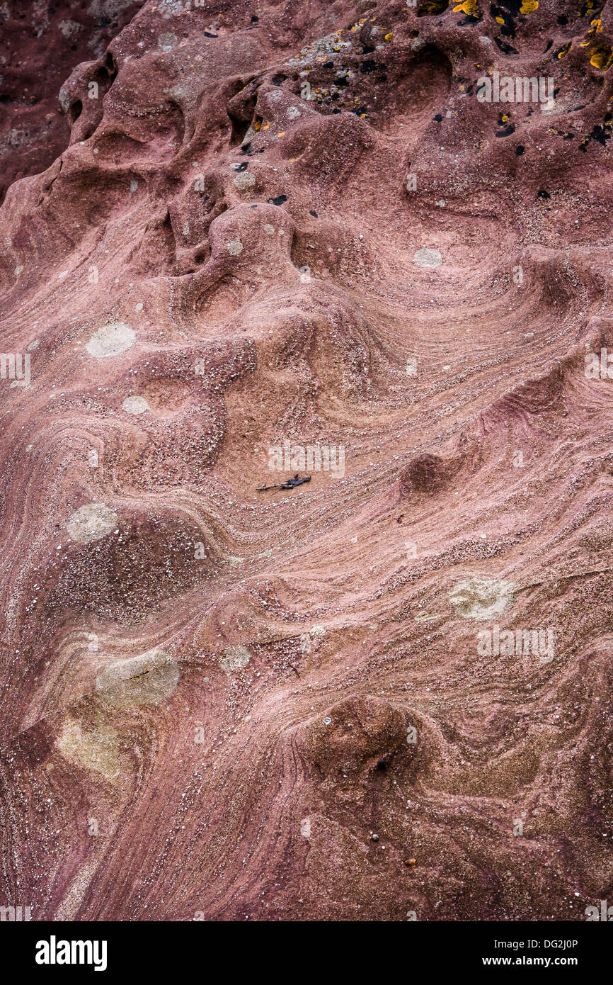 Grain on Sandstone Rocks at Lochranza on the Isle of Arran In Scotland ...