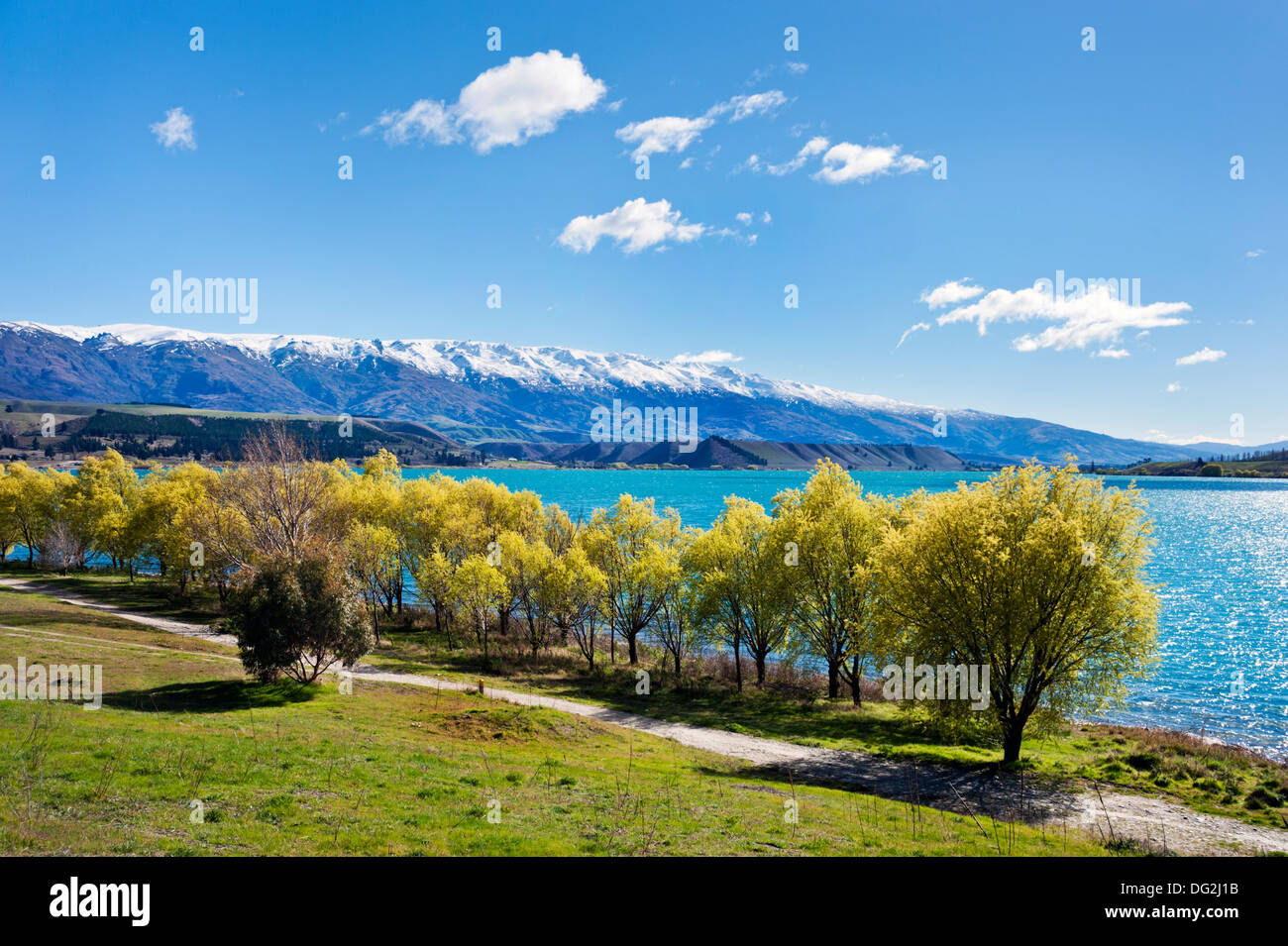 New Zealand, South Island. Trees in Spring leaf at Lake Dunstan, seen from the fruit growing town of Cromwell Stock Photo