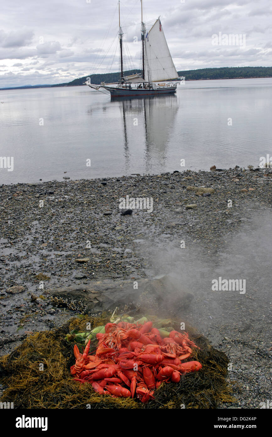 Lobster bake on beach schooner Lewis R French Penobscot Bay Maine Coast New England USA Stock Photo