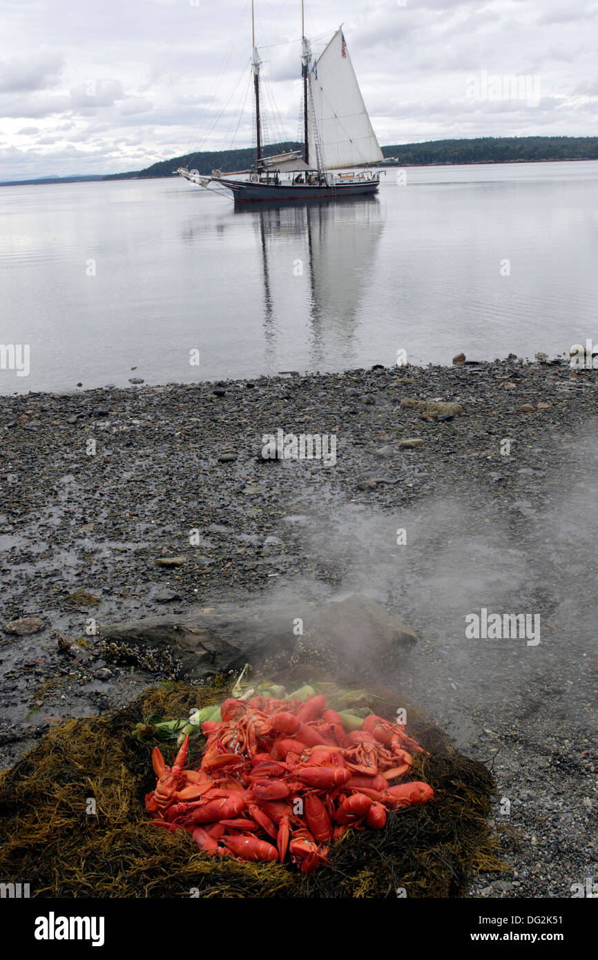 Lobster bake on beach schooner Lewis R French Penobscot Bay Maine Coast New England USA Stock Photo