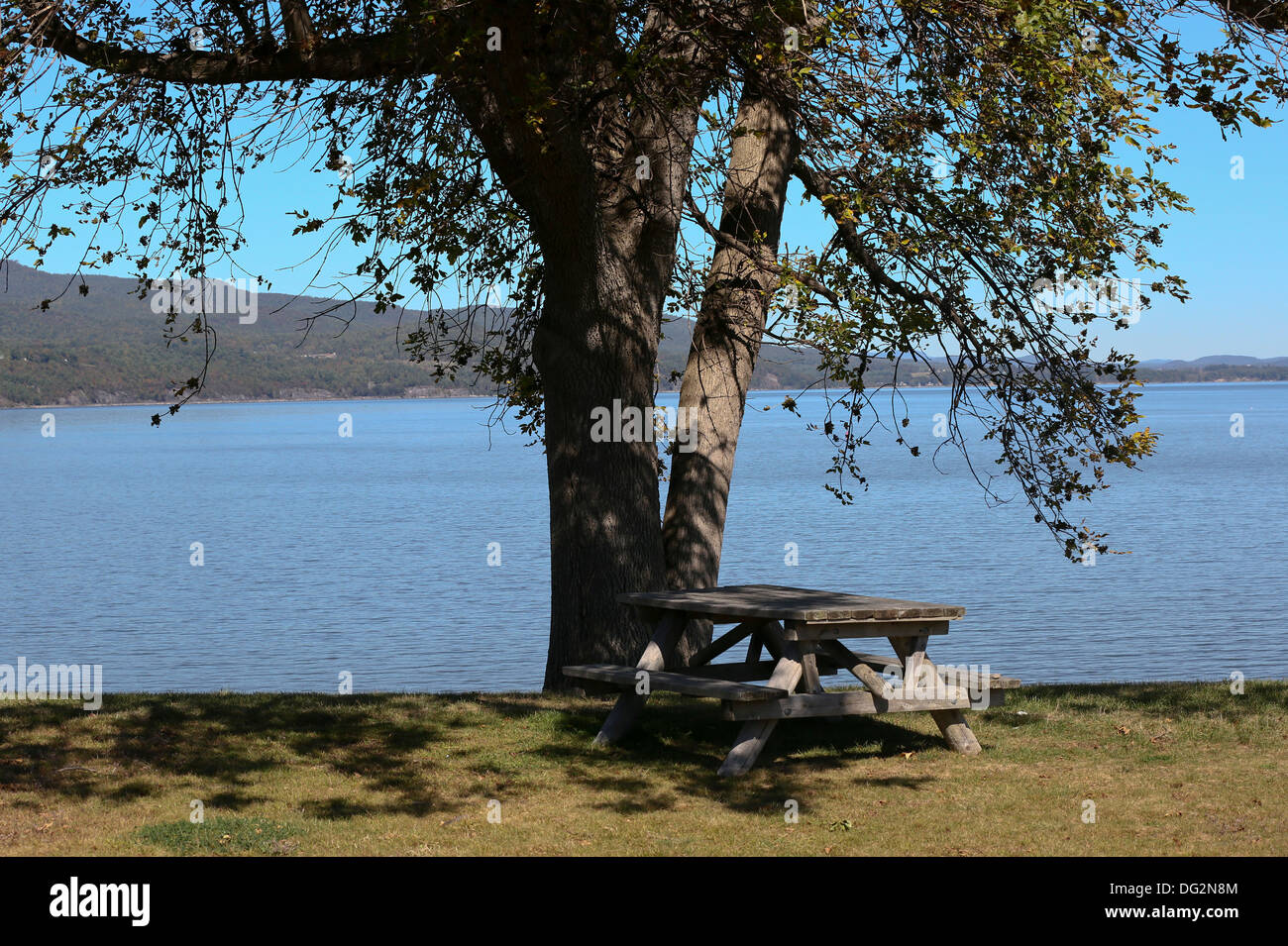 Picnic bench large tree Lake Champlain New York Stock Photo