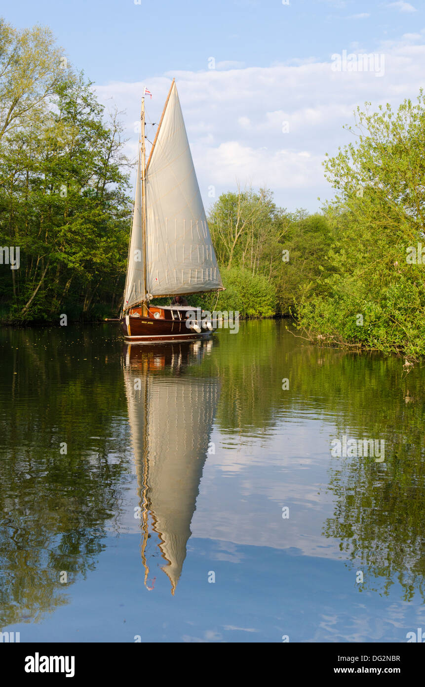 Sailing in a yacht up the River Bure on the Norfolk Broads, UK in May beside trees. Stock Photo