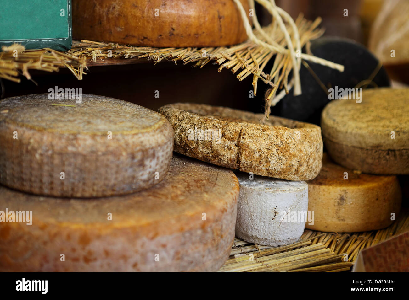 Wheels of mature cheese on the stand at International Cheese Festival in Bra, Northern Italy. Stock Photo