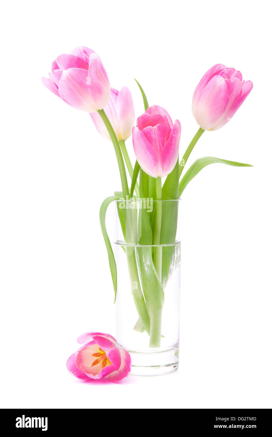 Pink tulips bouquet in vase isolated on white background Stock Photo ...