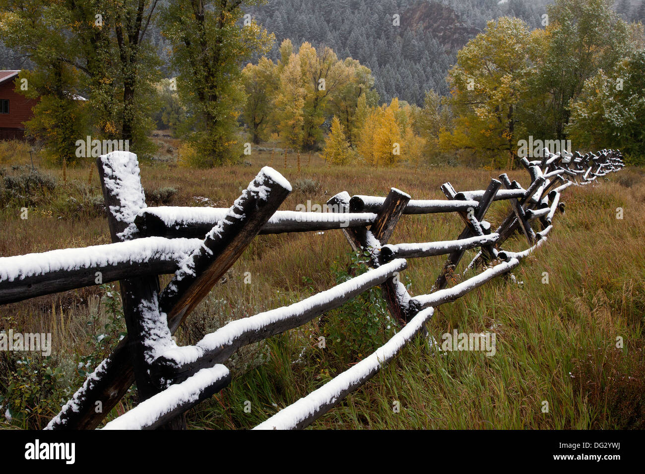 Log Fence Covered with Snow Stock Photo