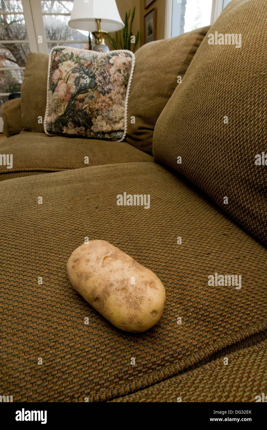 conceptual image - couch potato Stock Photo