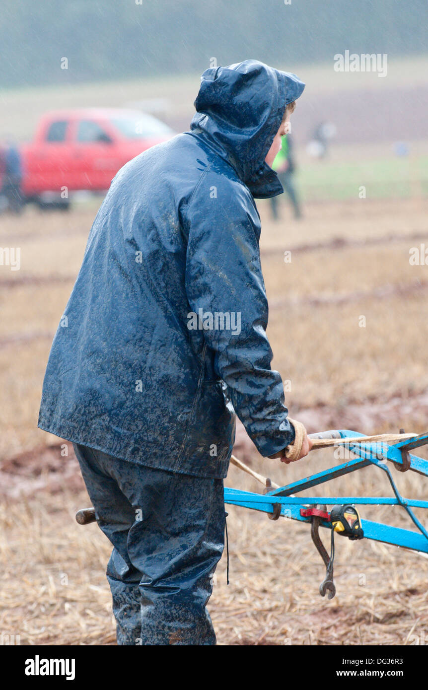 Llanwarne, Herefordshire, UK. 13th October 2013. Contestants take part in the Horse Ploughing - Oat Seed Furrow Work Class. More than 230 top British ploughmen compete in the 2013 British National Ploughing Championships which have returned to Herefordshire for the first time in 27 years. The top ploughmen of  each class (reversible and conventional) will represent Britain at the World Ploughing Championships to be held in France in 2014. Photo credit: Graham M. Lawrence/Alamy Live News. Stock Photo