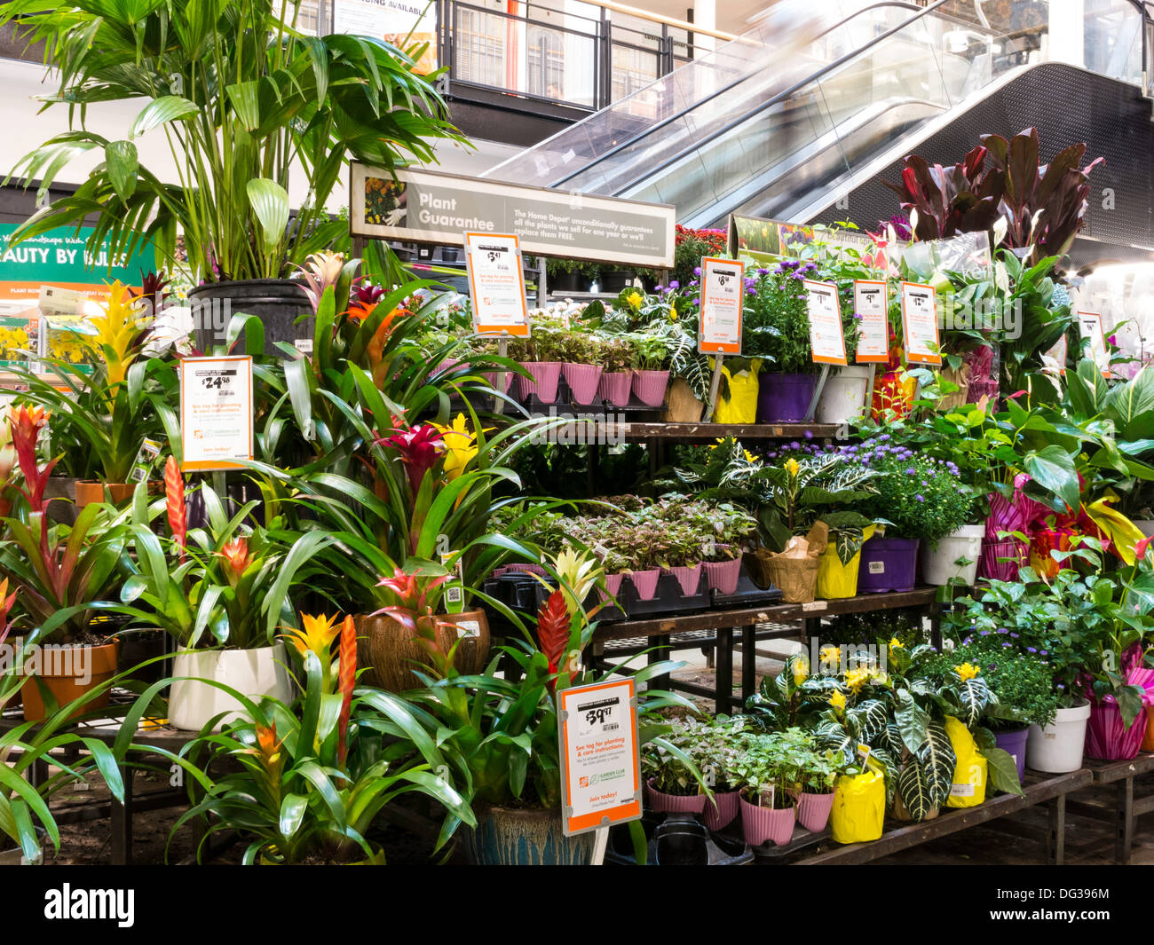 Home Depot Store Garden Center Display, NYC Stock Photo