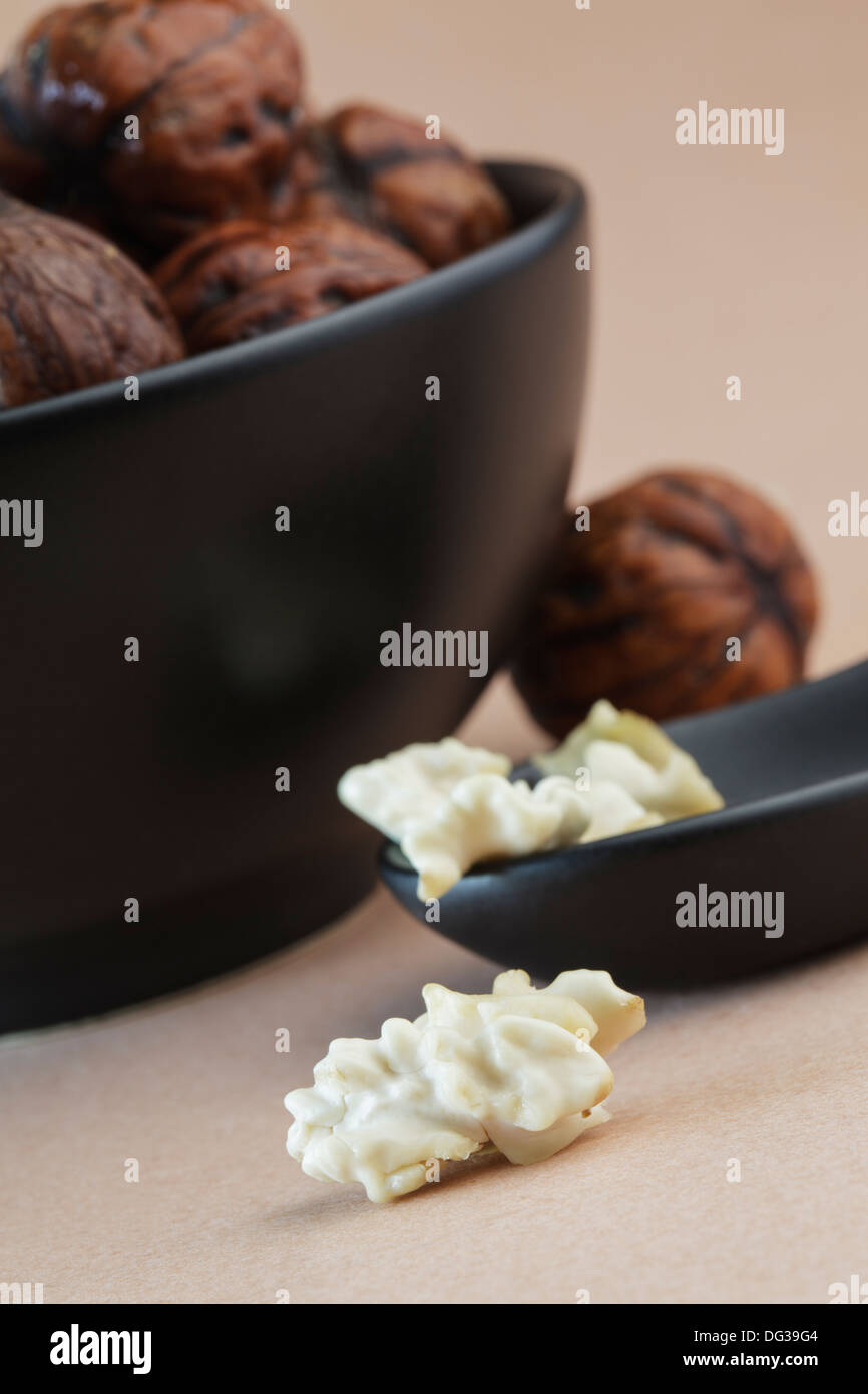 Fresh picked, still wet walnuts with there creamy soft kernels Stock Photo