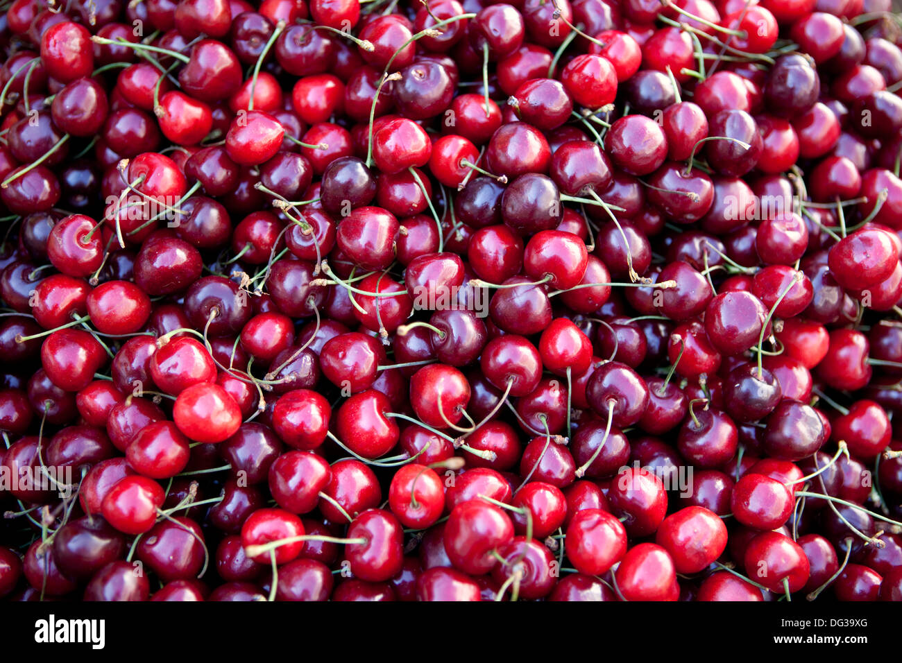 Cherries from Italy at a market stall, Hanover, Lower Saxony, Germany, Europe, Stock Photo