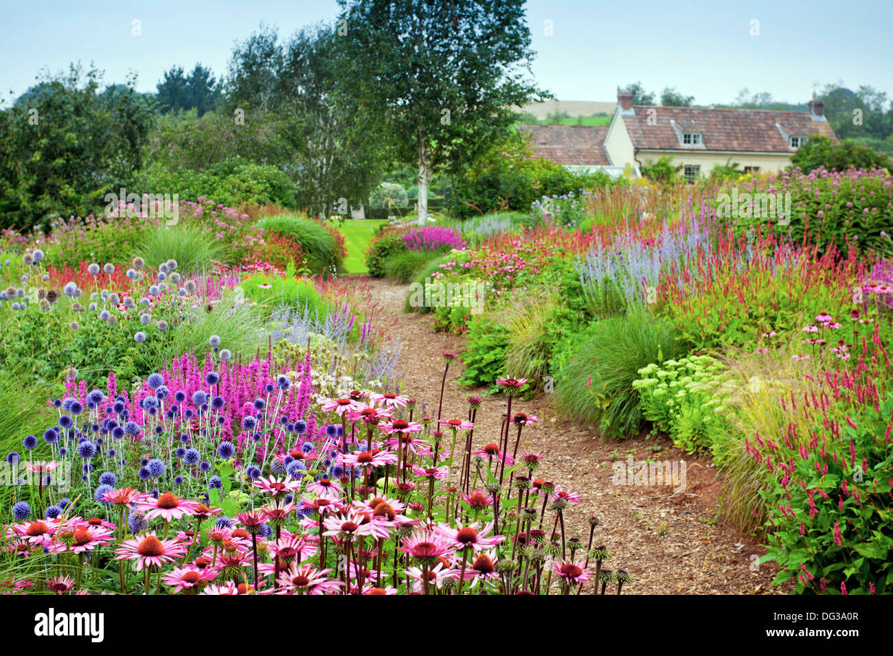 The 'prairie' garden at Lady Farm, Chelwood, nr Bath, Somerset, England UK Stock Photo