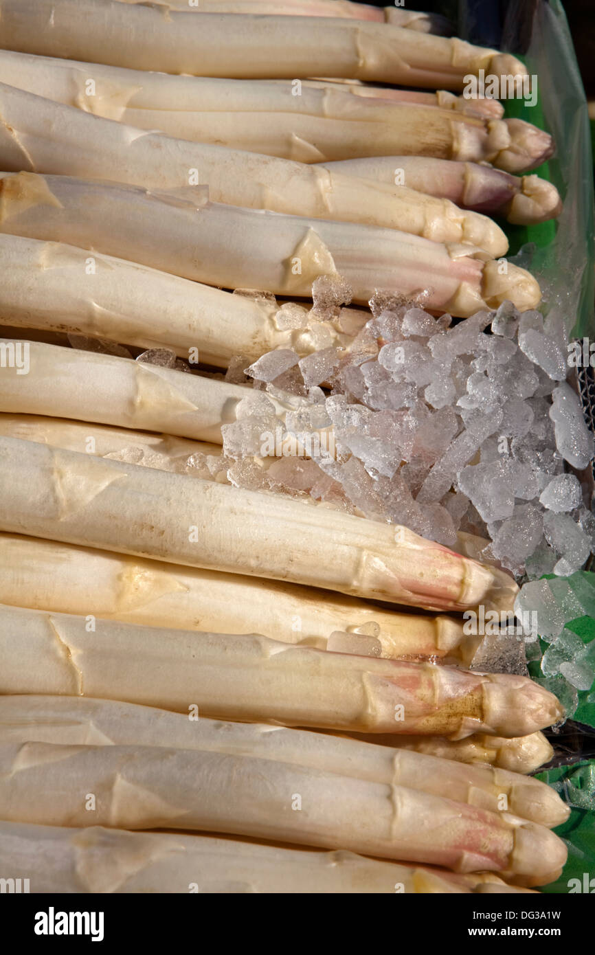 Asparagus from Nienburg at a market stall, Hanover, Lower Saxony