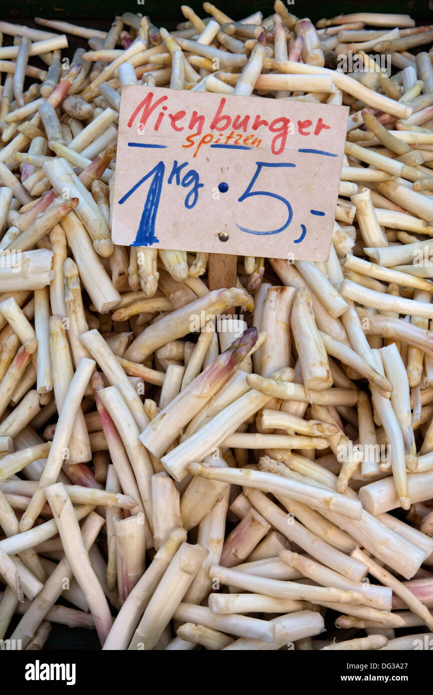 Asparagus from Nienburg at a market stall, Hanover, Lower Saxony