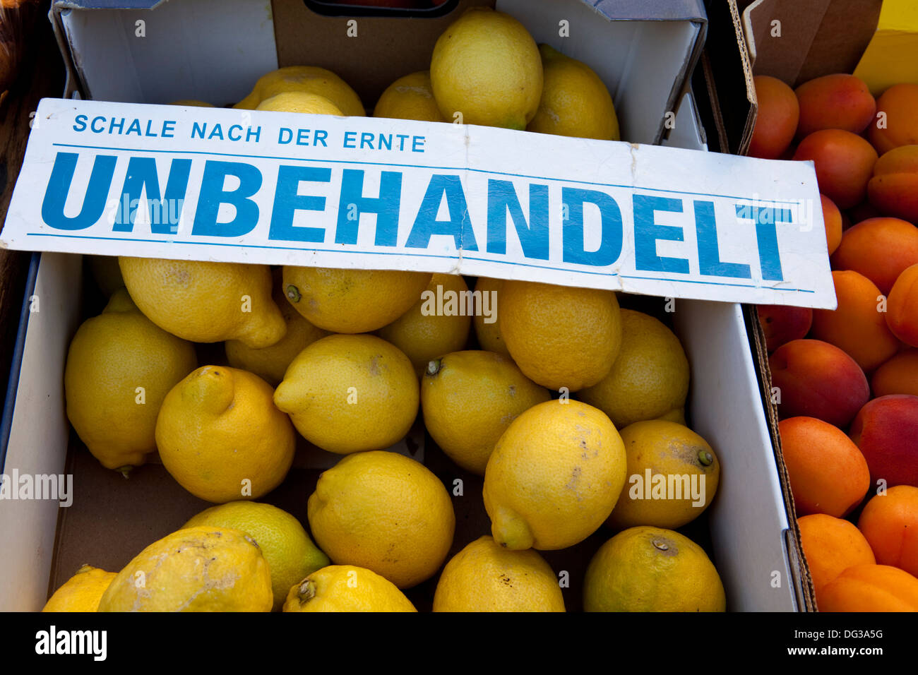 Untreated Lemons at a marketstall, Hanover, Lower Saxony, Germany, Europe, Stock Photo