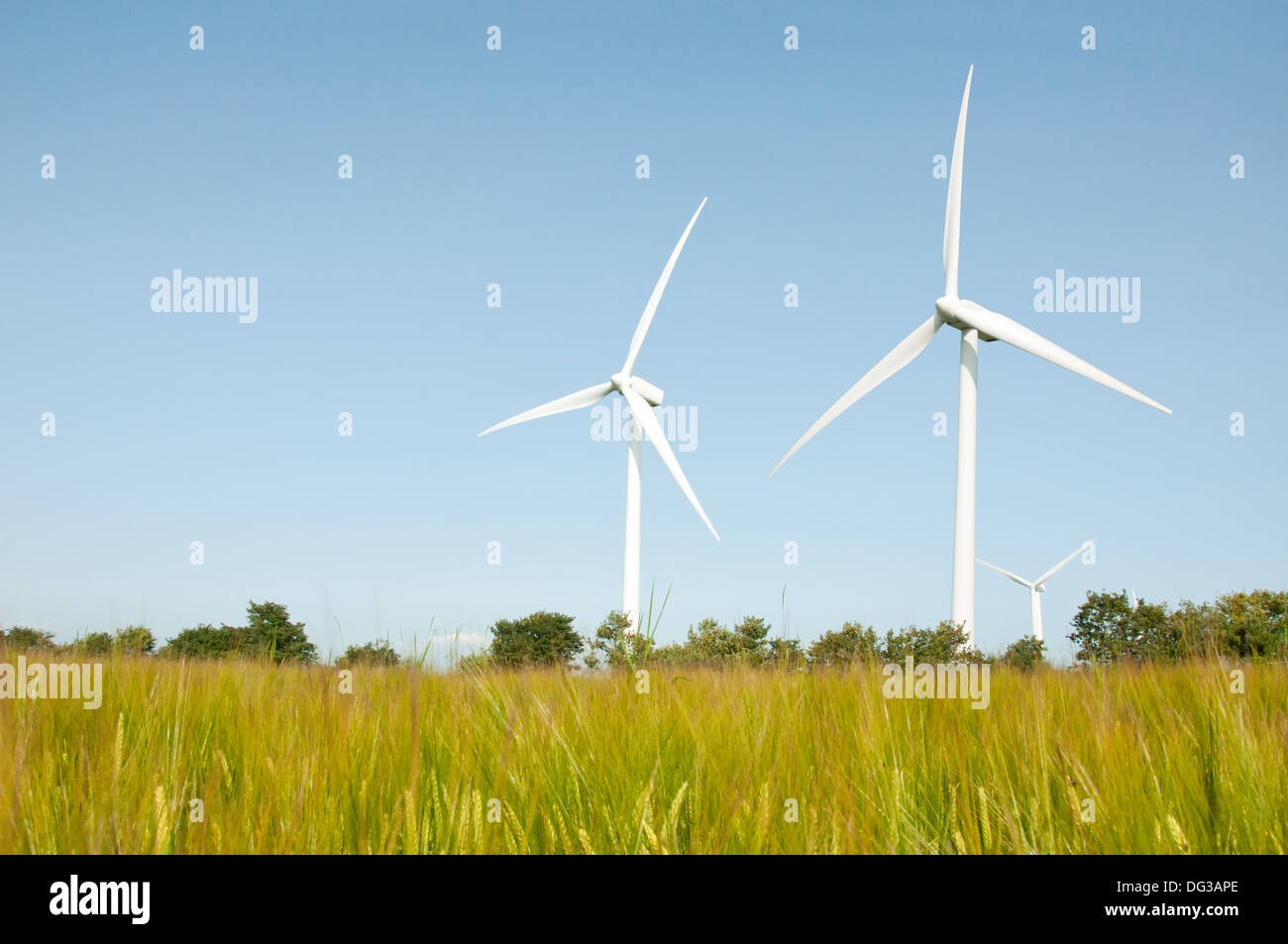 Wind Turbines on a Wind Farm Stock Photo Alamy