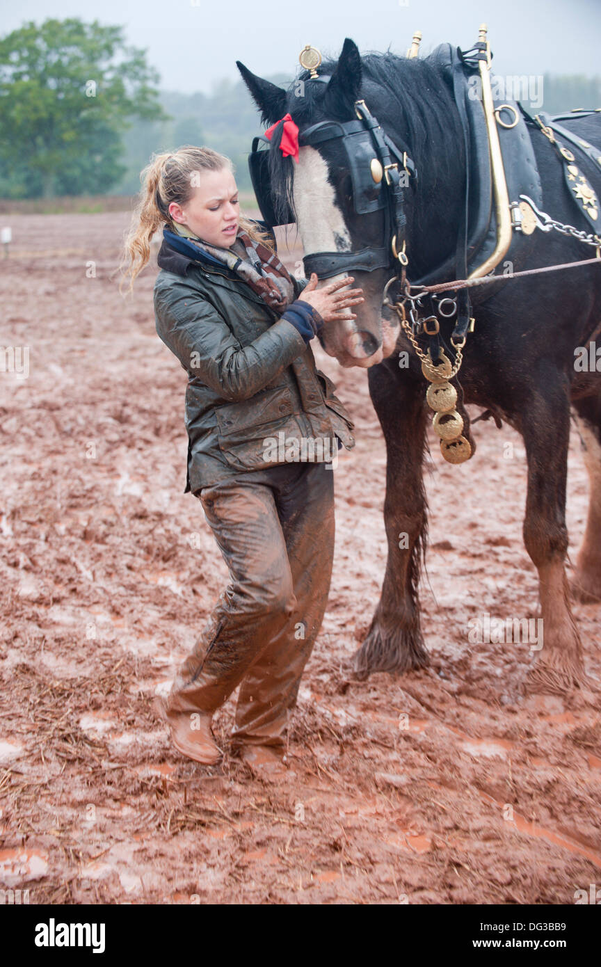 Llanwarne, Herefordshire, UK. 13th October 2013. 24-year-old graduate Gemma Schofield from Ulster, Warwickshire - working for NFU -  handles Carolyn, a shire horse, for retired farmer and experienced plough lady Jane Muntz-Torres in muddy conditions during the Class 13 Horse Ploughing – Oat Seed Furrow event at the British National Ploughing Championships. The top ploughmen/women of  each class (reversible and conventional) will represent Britain at the World Ploughing Championships to be held in France in 2014. Photo credit: Graham M. Lawrence/Alamy Live News. Stock Photo