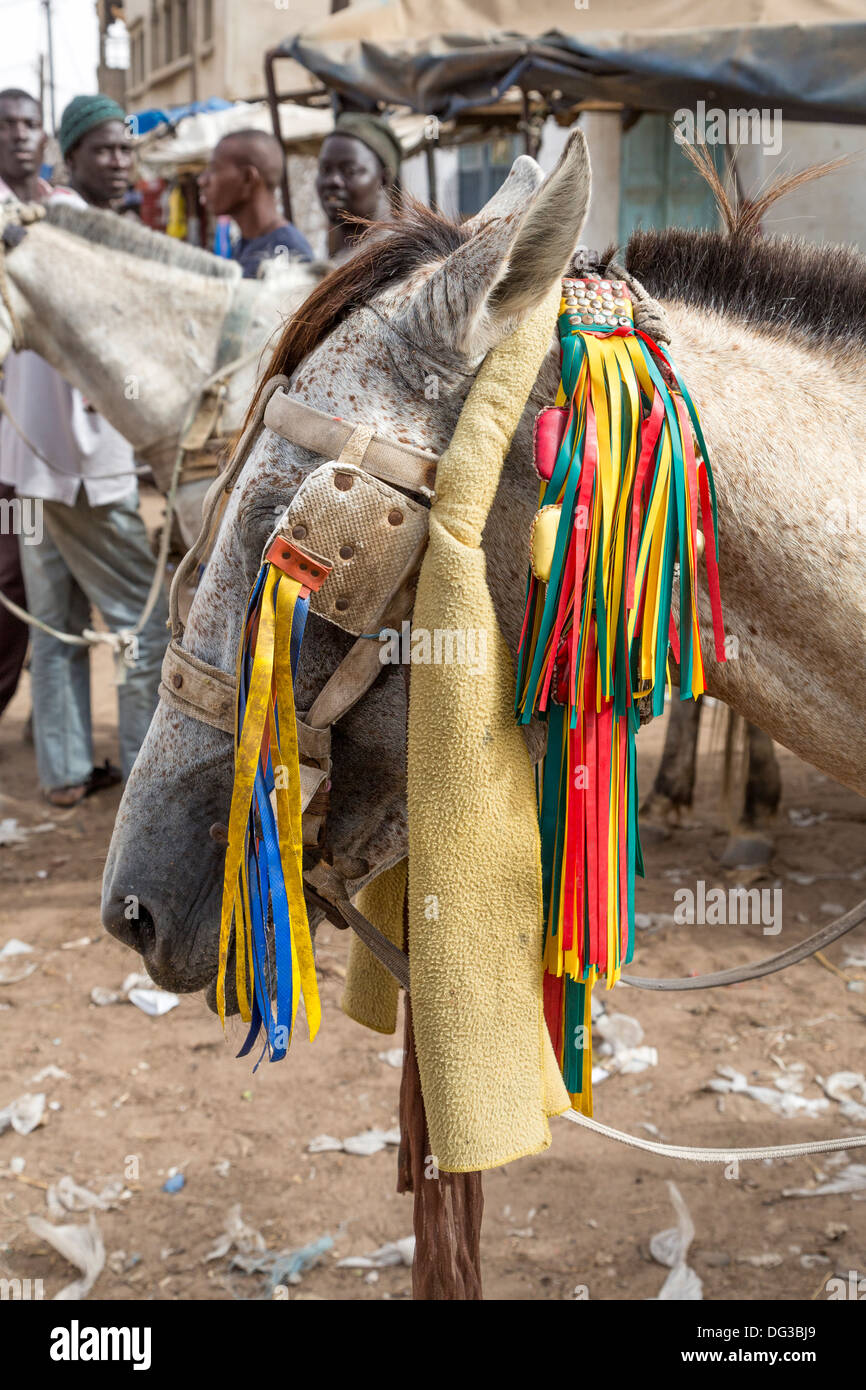 Horse Market Stock Photos &amp; Horse Market Stock Images - Alamy