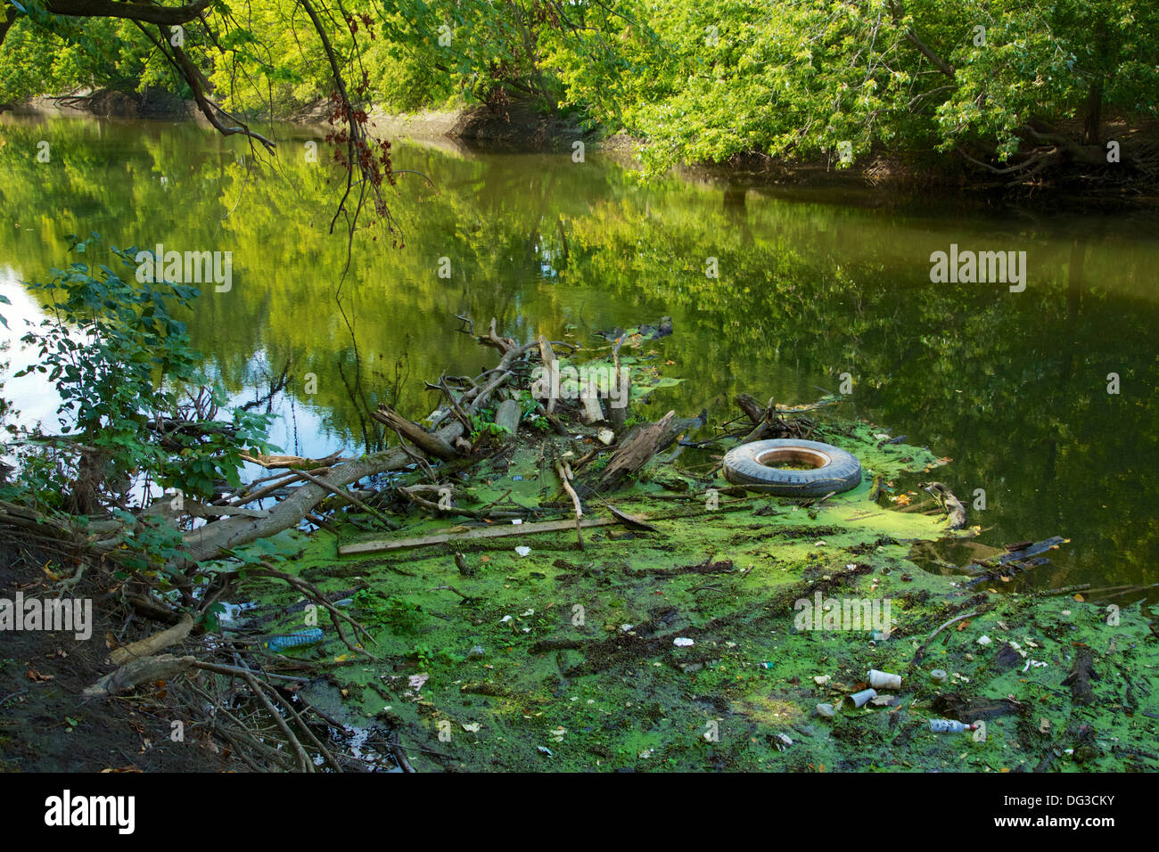 Floating debris on the Des Plaines River. Cook County, Illinois Stock Photo